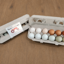Cage-Free Eggs